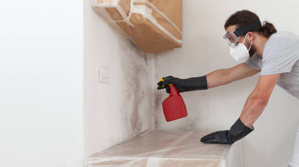 Professional Bathroom Mold Removal technician working in Longmont, CO
